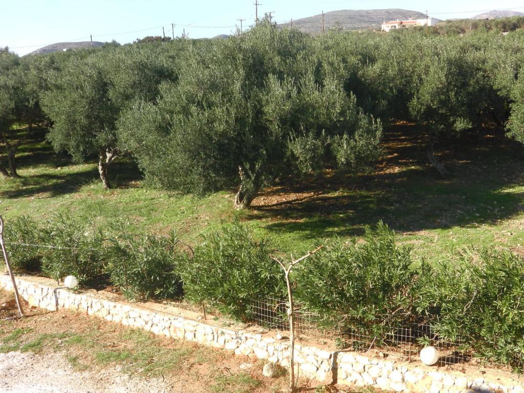 Serenity Hideaway Παλαιοχώρα Δωμάτιο φωτογραφία